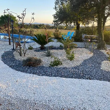Terre De Vigne *